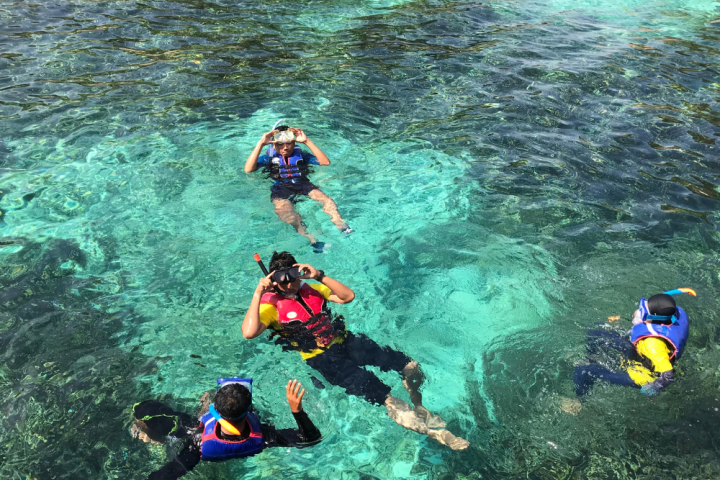 Four people snorkeling in clear turquoise water.