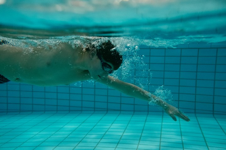 a dog swimming in a pool of water