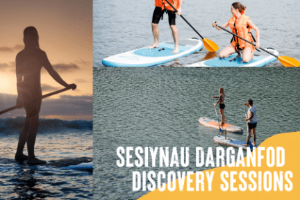 a group of people on a beach
