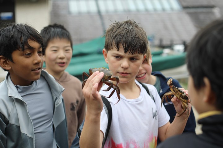 Group of kids examining crabs outdoors.