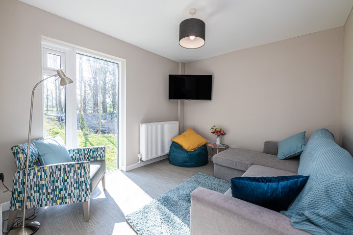Bright modern living room with sofa, armchair, TV, indoor plants, and large window showing a garden view.