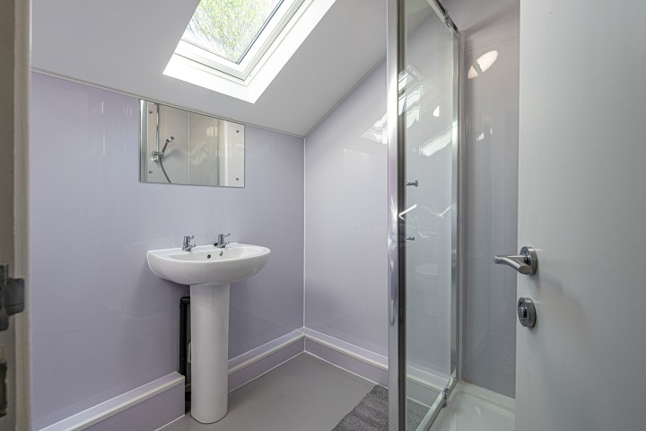 Attic bathroom with skylight, sink, and glass shower.